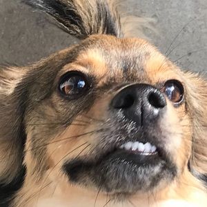 Ladies!!! I am completely purging my closet